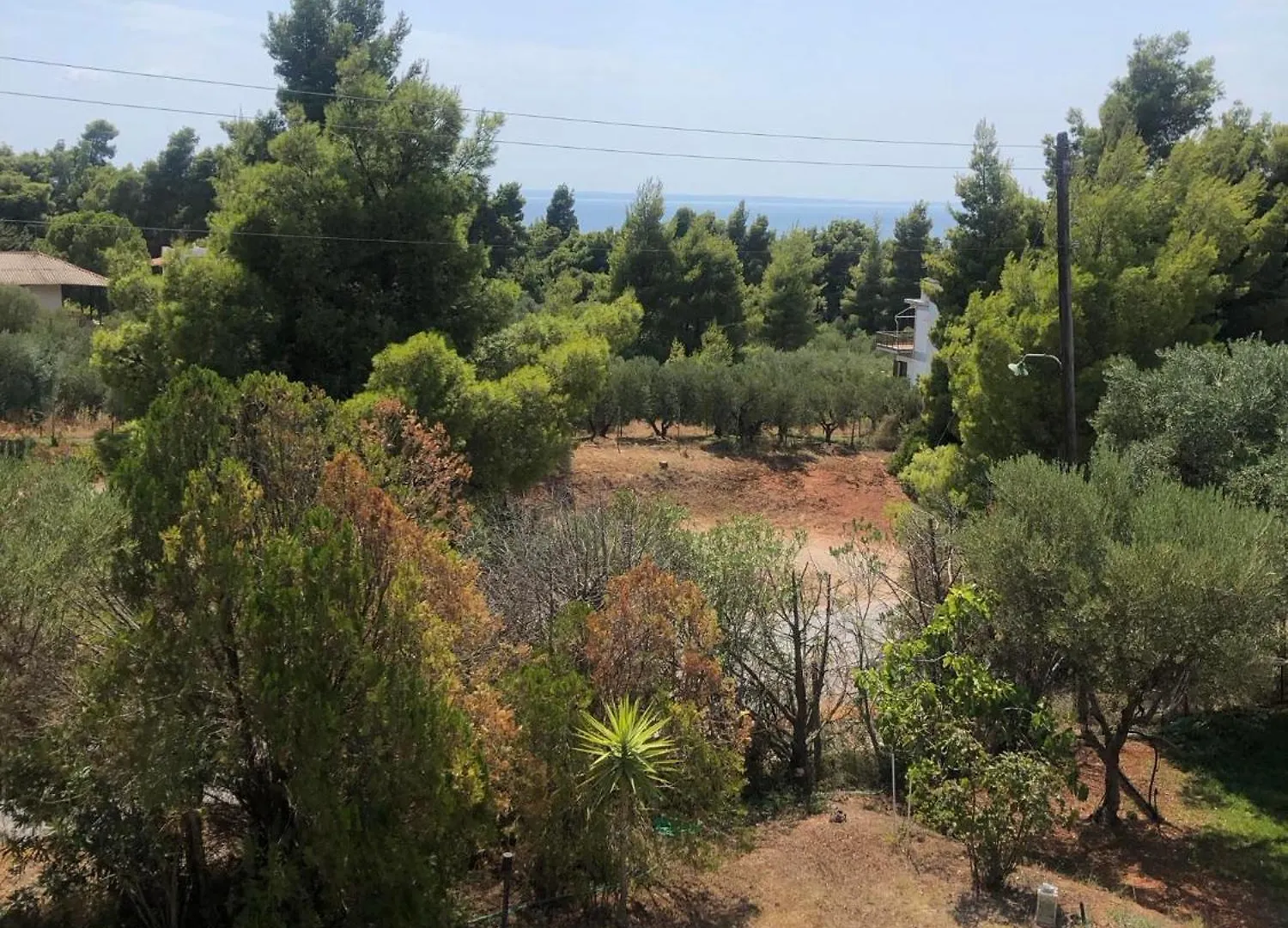 דירות מטהמורפוסי 